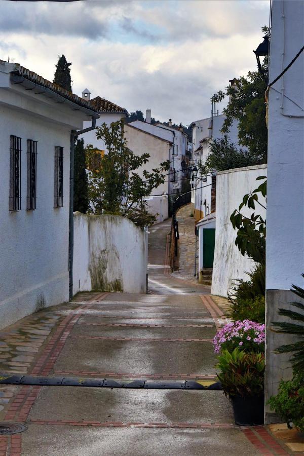Hostal Moncada Gaucín Εξωτερικό φωτογραφία