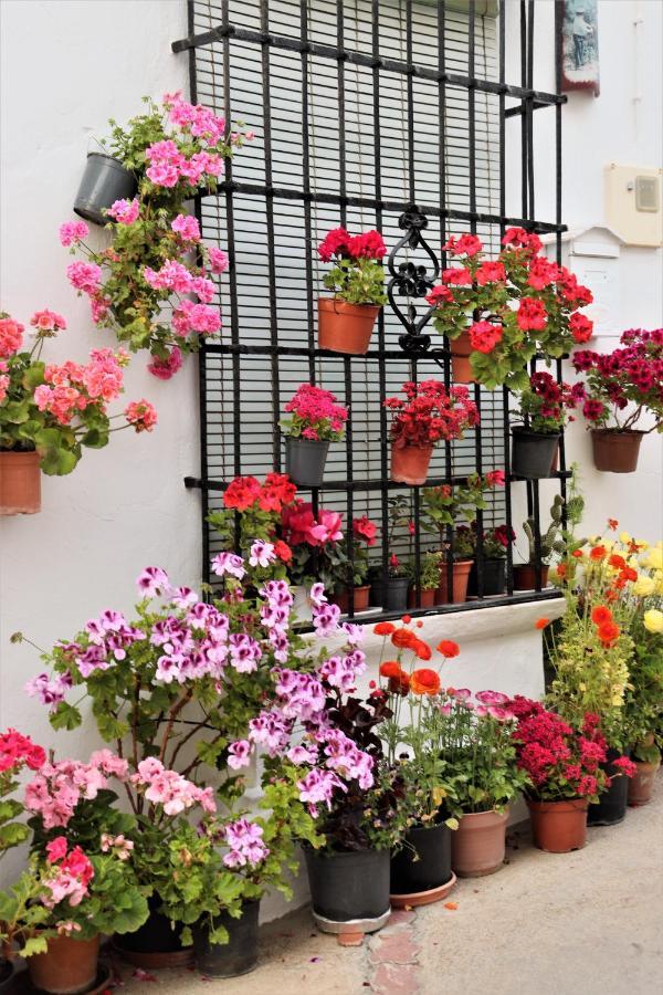 Hostal Moncada Gaucín Εξωτερικό φωτογραφία