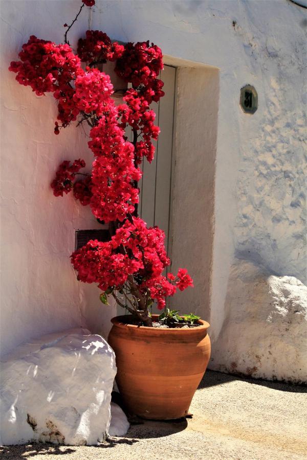 Hostal Moncada Gaucín Εξωτερικό φωτογραφία