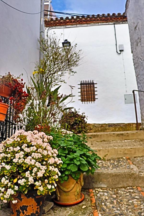 Hostal Moncada Gaucín Εξωτερικό φωτογραφία