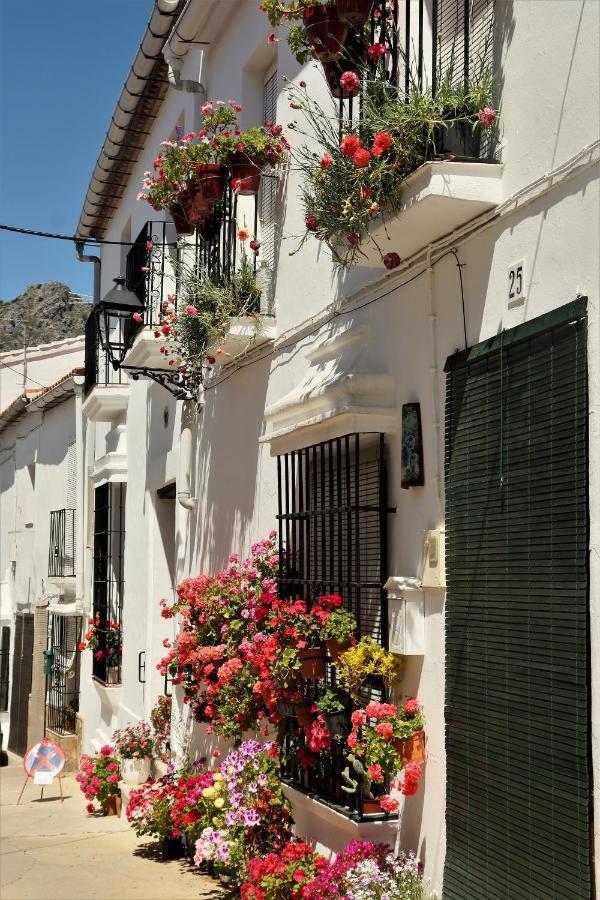 Hostal Moncada Gaucín Εξωτερικό φωτογραφία